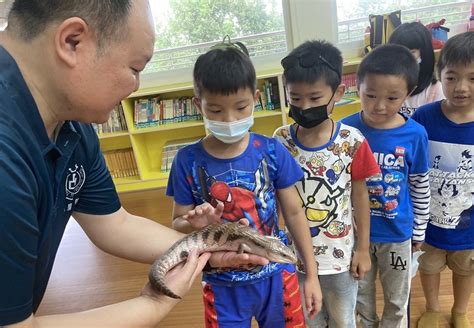 特殊寵物|探索臺灣合法飼養的特殊寵物：珍稀魚類與迷人冷門寵物全紀錄！。